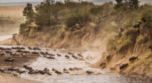 6-Day Serengeti Migration Safari Tanzania