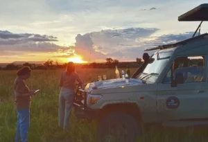 4-Day Best Affordable Tanzania Safari