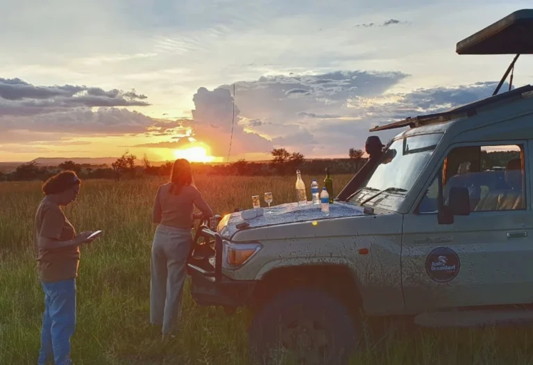 4-Day Best Affordable Tanzania Safari