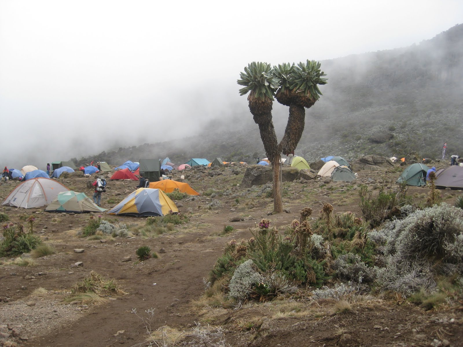 Machame Route 5