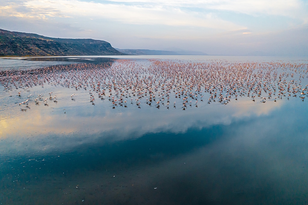 Lake Natron