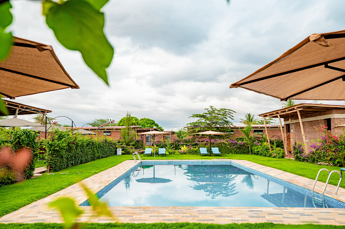 Motto Cottage Tarangire — 3