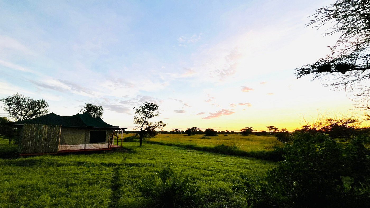 Land of Nature Camp — 3