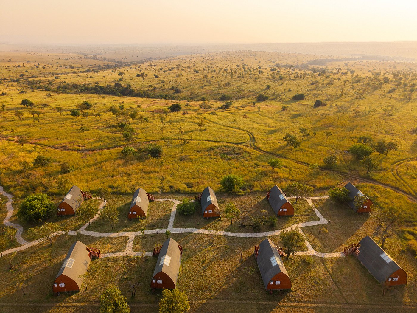 Serengeti Ark