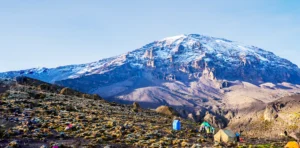 Machame vs Lemosho: Which Kilimanjaro Route is Right for You?