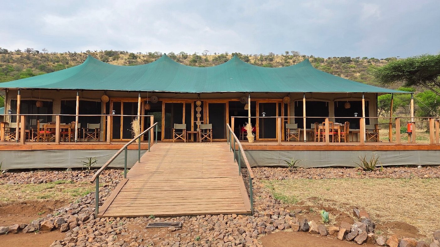 Safari Haven — 3