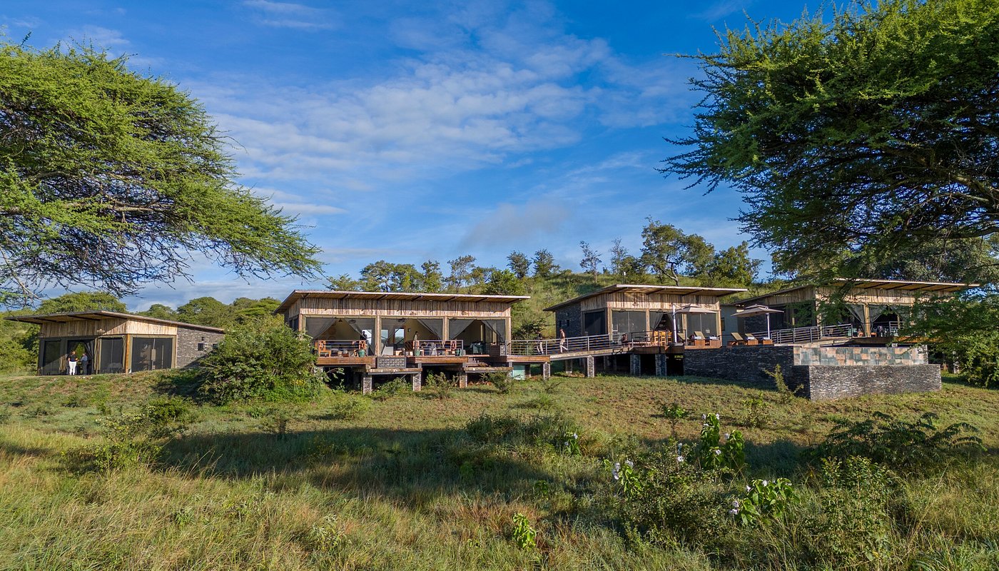 Tarangire Elephant Spring