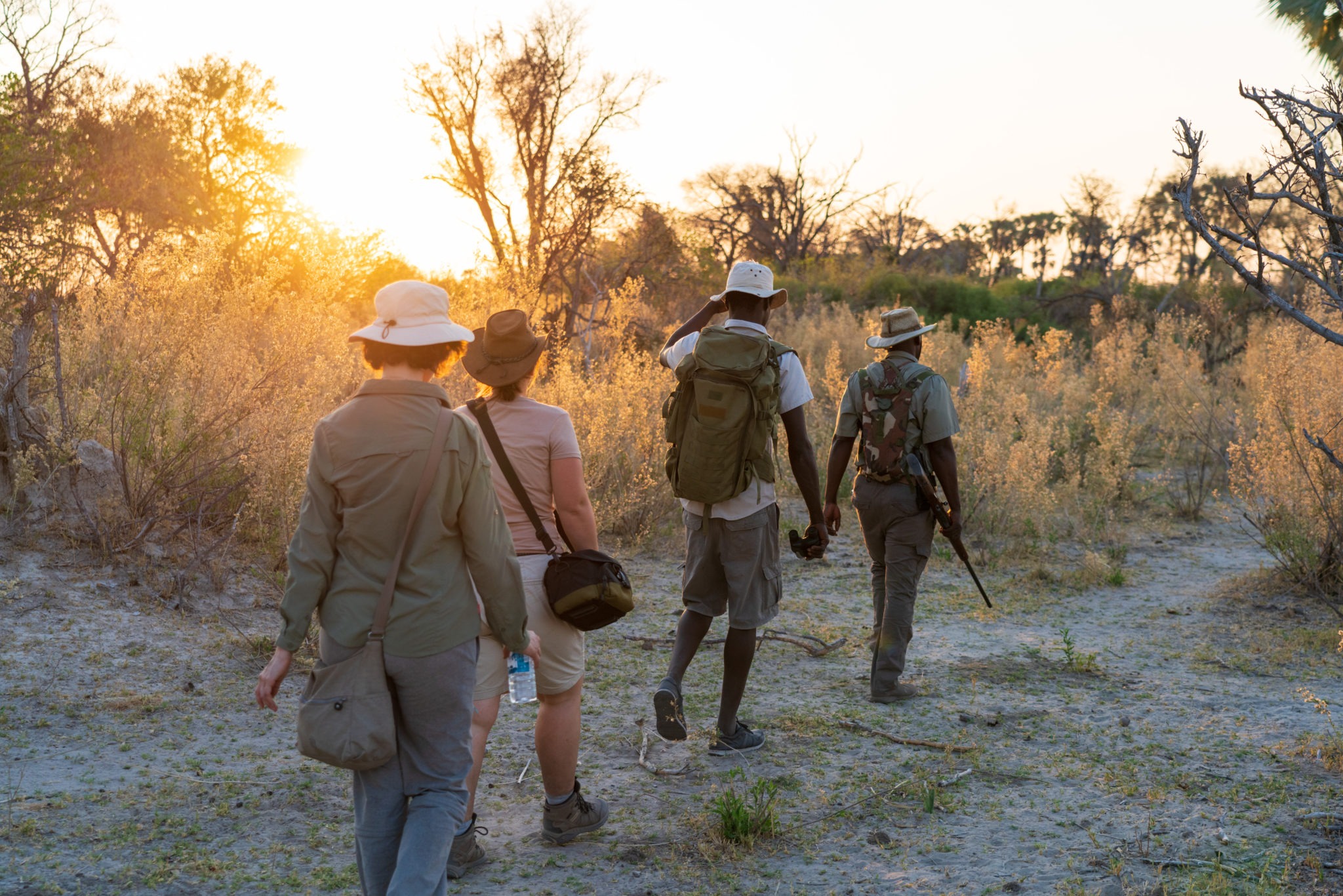 Wilderness Walking Safari in Tarangire