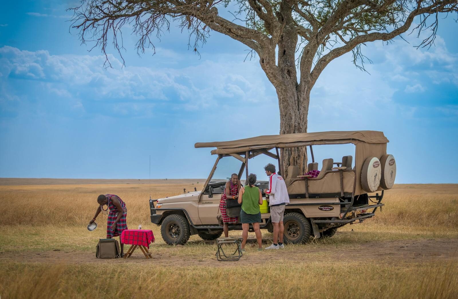 Safaris for Seniors in Tanzania