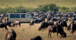 7-Day Great Migration Northern Serengeti Safari